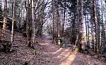 IMG_20160412_182503a.jpg