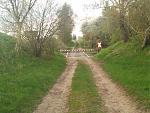 IMG_20160414_201121.jpg