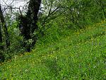 IMG_2879.JPG