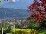 IMG_2880.JPG