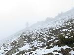 IMG_2890a.JPG