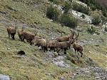 IMG_2901a.JPG