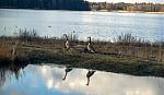 IMG-20160418-WA0001.jpg