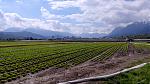 IMG_20160419_142548.jpg