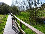 P1020104a.jpg