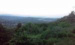 20160504_061803.jpg