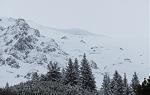 IMG_3018.JPG
