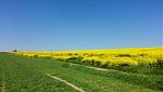 IMG_20160508_112339k2.jpg
