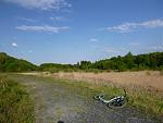 P1020134a.jpg