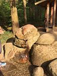 IMG_4385.JPG