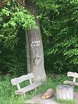IMG_4389.JPG