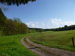 P1020142a.jpg