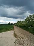 IMG_20160516_115057.jpg