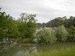 DSCN3107.jpg