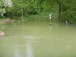DSCN3113.jpg