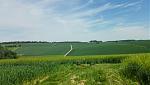IMG_20160522_105750k.jpg