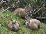 IMG_3162.JPG