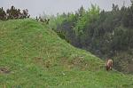 IMG_3161.JPG