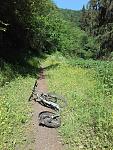 IMG-20160526-WA0001.jpg