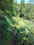 20160526_110904.jpg