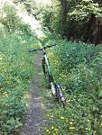 20160526_112154.jpg