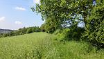 IMG_20160526_114503k.jpg