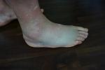 DSC03551.JPG