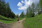 IMG_3382.JPG