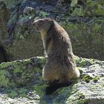 IMG_3489.JPG