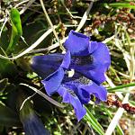 IMG_3524.JPG