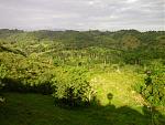 PTDC0063.JPG