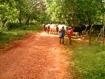 PTDC0070.JPG