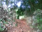 PTDC0074.JPG