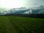20160614_181231.jpg