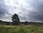 36er-IMG_4004s.jpg