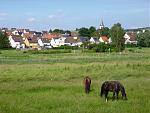 P1020258a.jpg