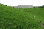IMG_3579.JPG