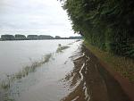 DSC02733.JPG