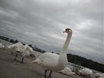 DSC02755.JPG