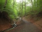DSC02777.JPG