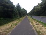 rad-IMG_4240.jpg