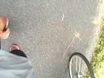 rad-IMG_4243.jpg