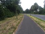 rad-IMG_4244.jpg