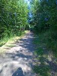 Laufstrecke 007.jpg
