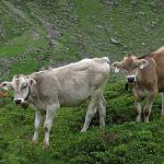 IMG_3797.JPG