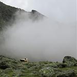 IMG_3749.JPG