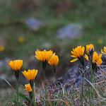 IMG_3743.JPG