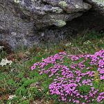 IMG_3757.JPG