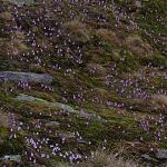IMG_3751.JPG