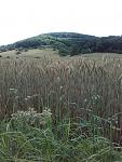 20160626_105811.jpg